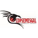 Copsemesgal Cia Ltda