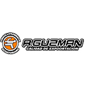 METALICAS GUZMAN